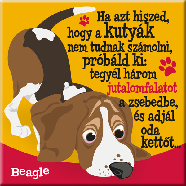 Beagle hűtőmágnes