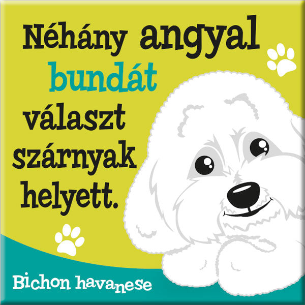 Bichon havanese hűtőmágnes
