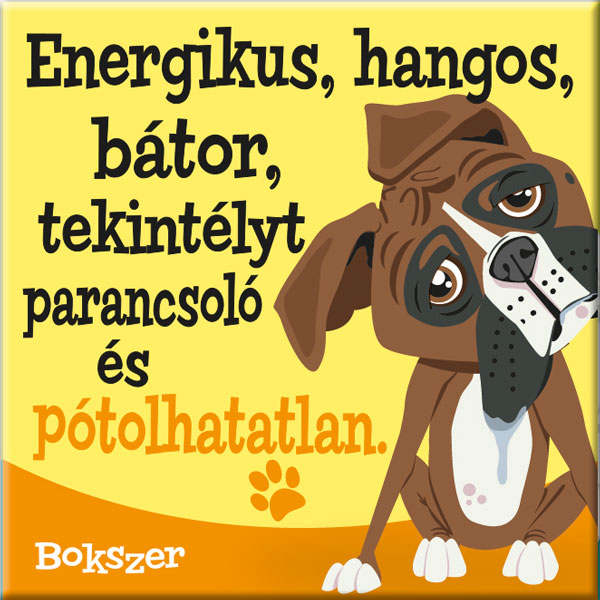 Boxer hűtőmágnes - w&w