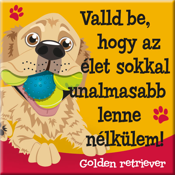 Golden retriever hűtőmágnes - w&w