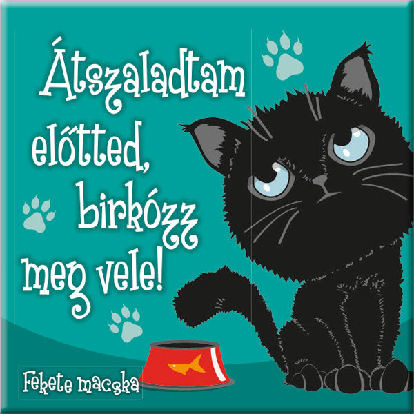Fekete macska hűtőmágnes - w&w