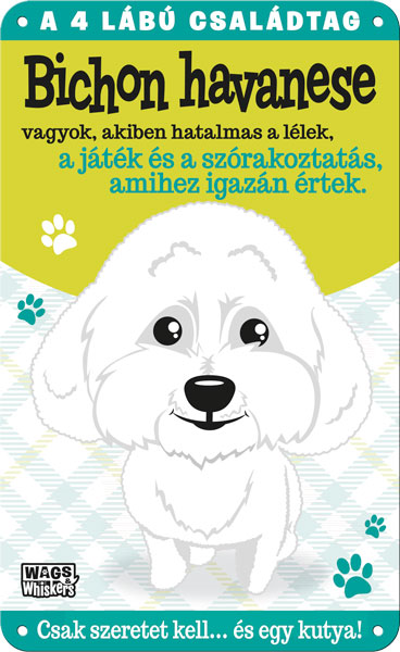 Bichon havanese fém ajtótábla