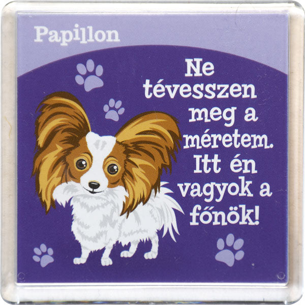 Papillon hűtőmágnes