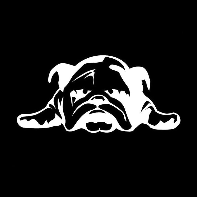 Angol Bulldog kutyás matrica
