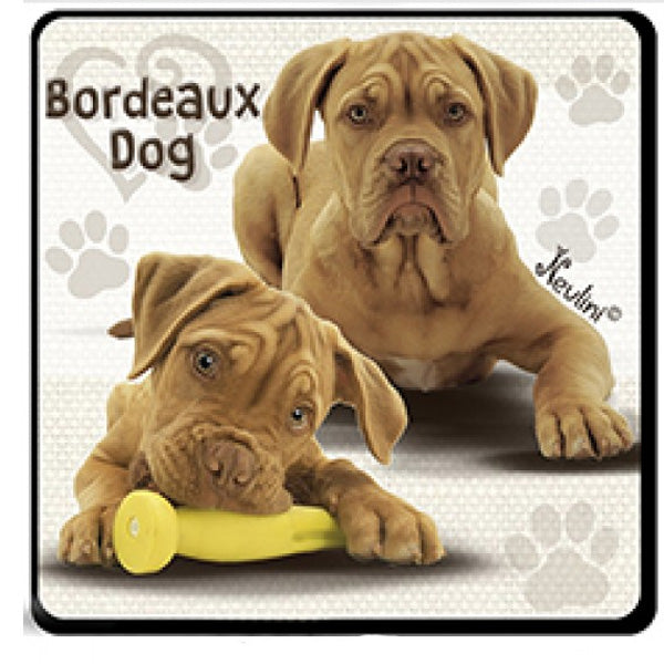 Bordeaux dog hűtőmágnes