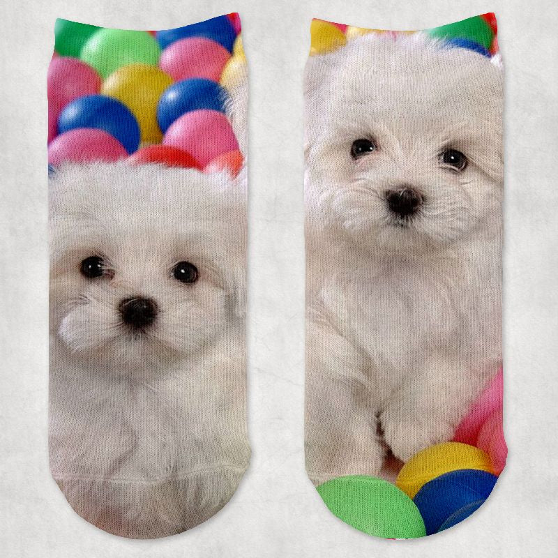 Bichon kutyás zokni