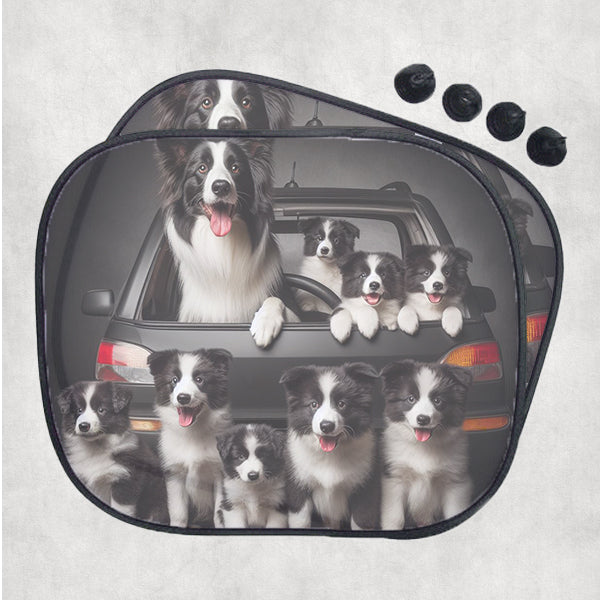 Border Collie kutyás autós napellenző