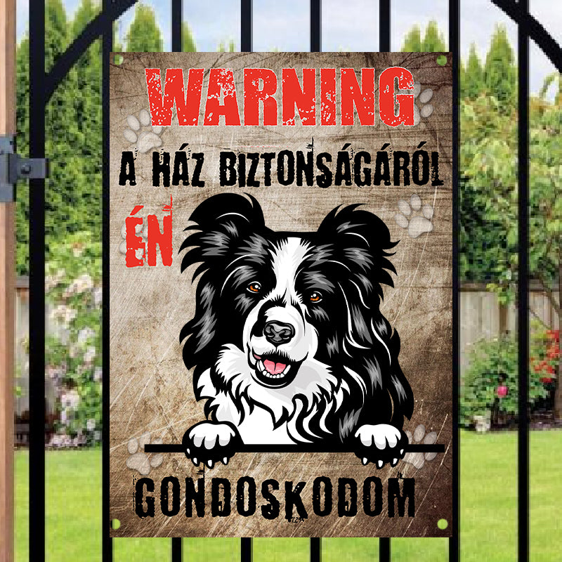 Border Collie kutyás fém figyelmeztető tábla