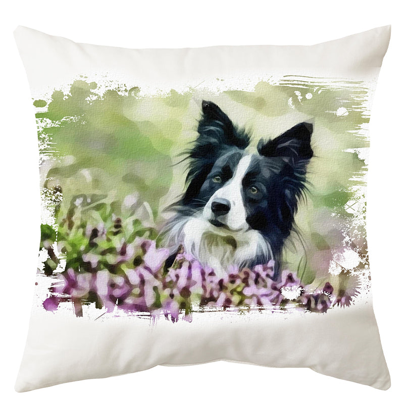 Border collie kutyás párna