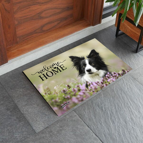 Border Collie kutyás lábtörlő