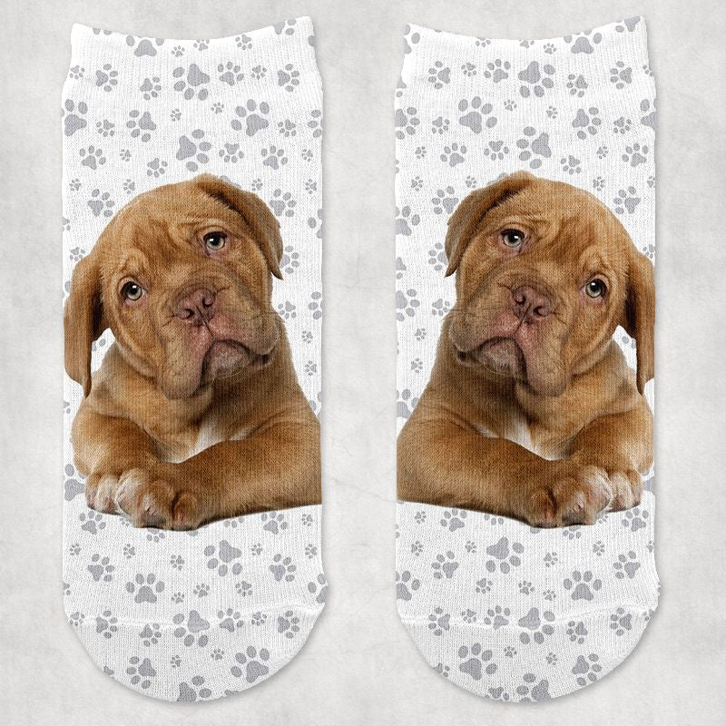 Bordeaux-i dog kutyás zokni