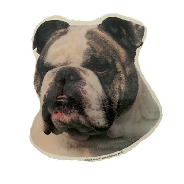 Angol Bulldog kutyás matrica
