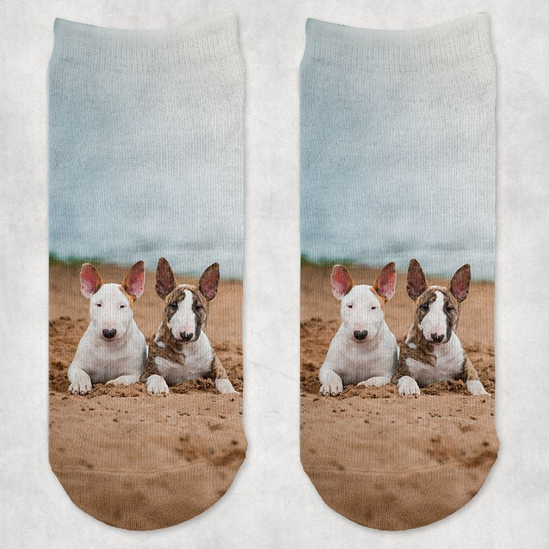 Bullterrier kutyás zokni