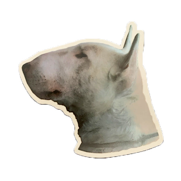 Bullterrier kutyás matrica