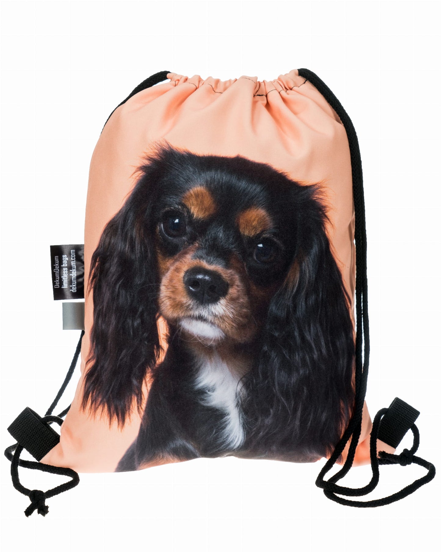 Cavalier King Charles spániel kutyás tornazsák