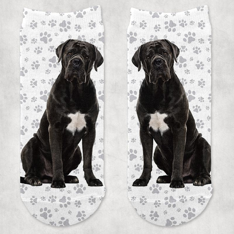 Cane Corso kutyás zokni - választható mintával