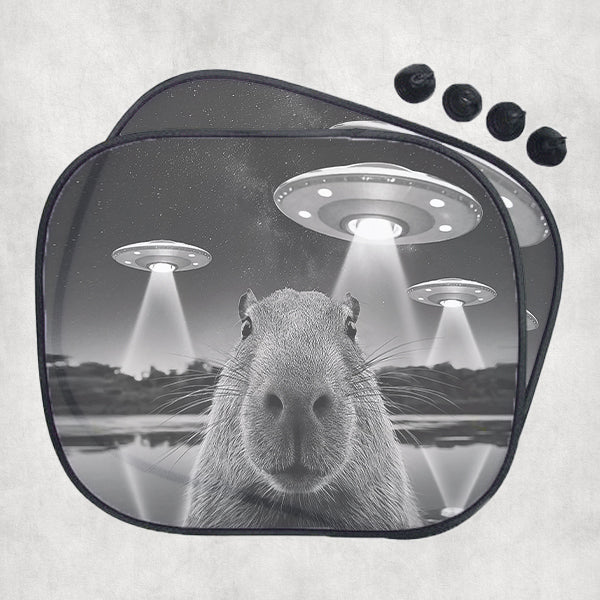 Capybara autós napellenző - Ufo