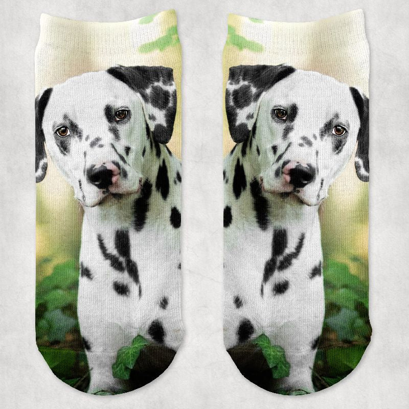 Dalmata kutyás zokni