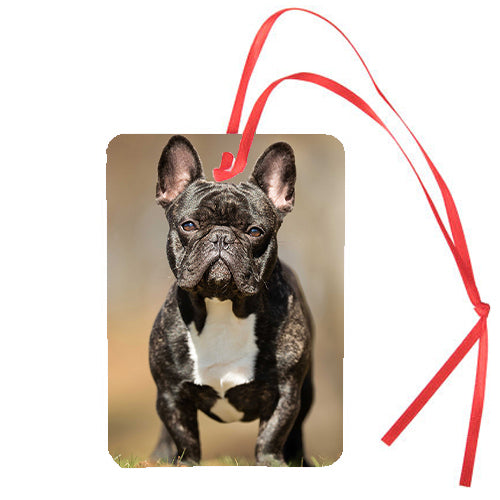 Francia Bulldog kutyás autóillatosító 2