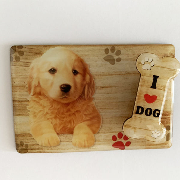 Golden retriever kutyás hűtőmágnes