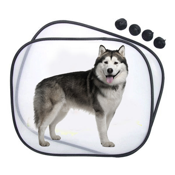 Husky kutyás napellenző 3