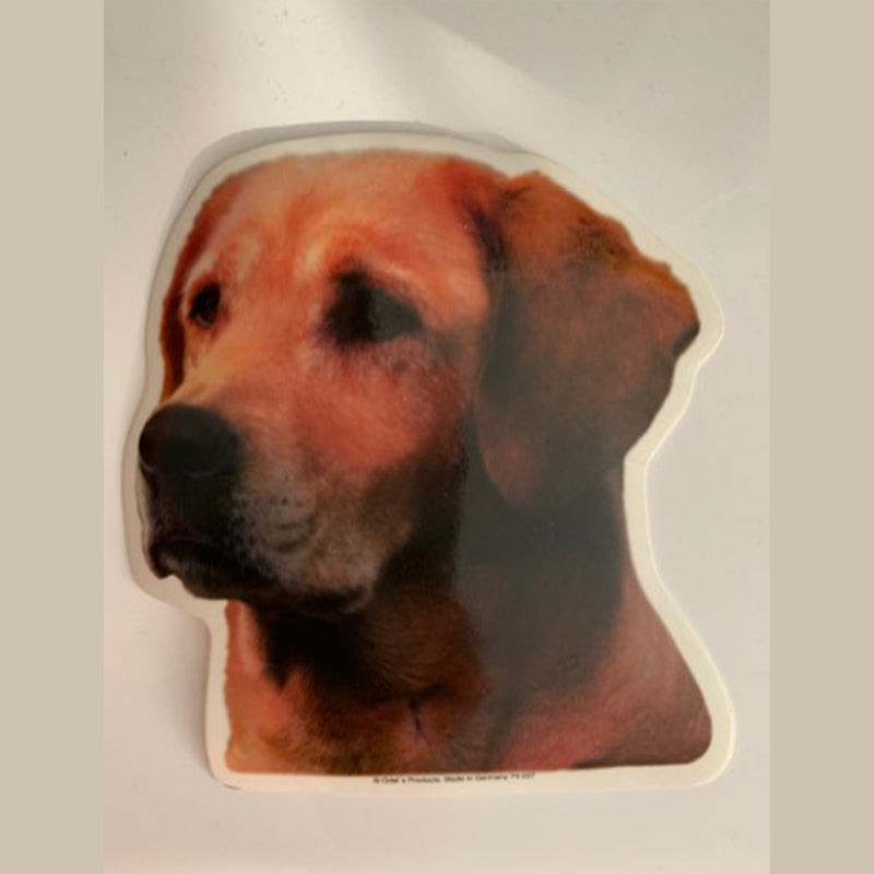 Labrador kutyás matrica