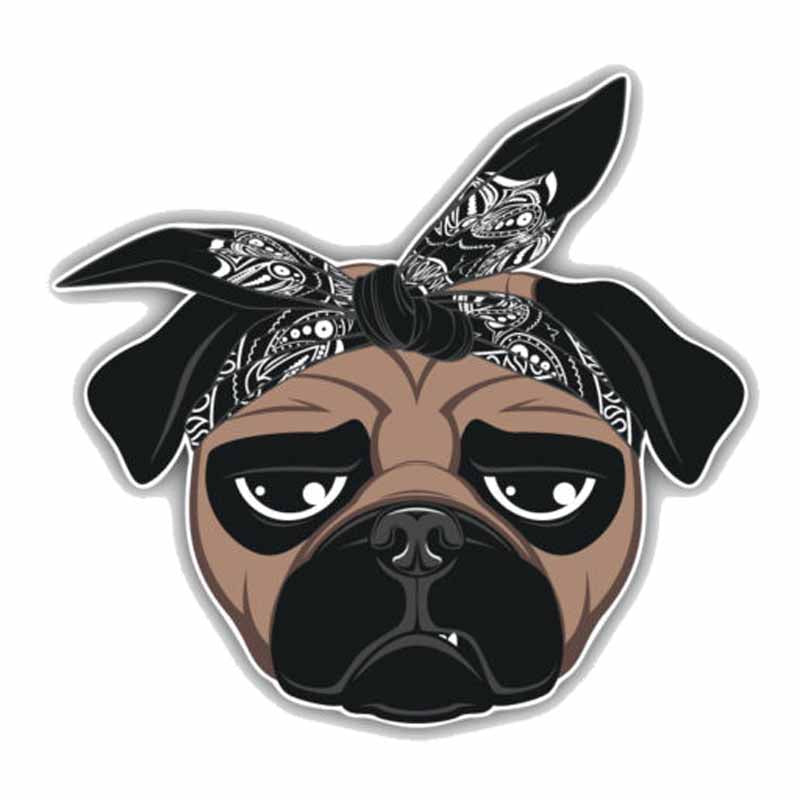 Mopsz kutyás matrica- gengszter