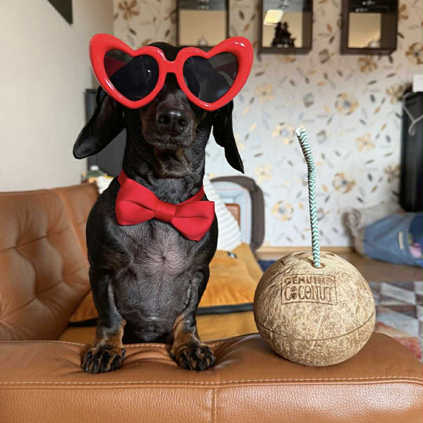 Pajtus bögre -Pajtus szív