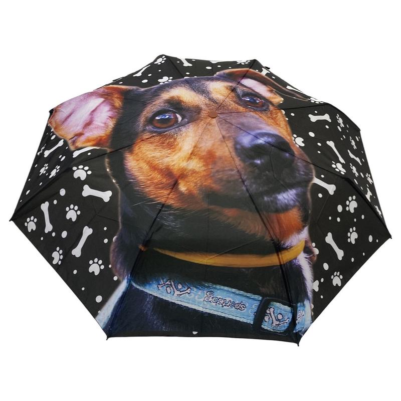 Pinscher kutyás esernyő