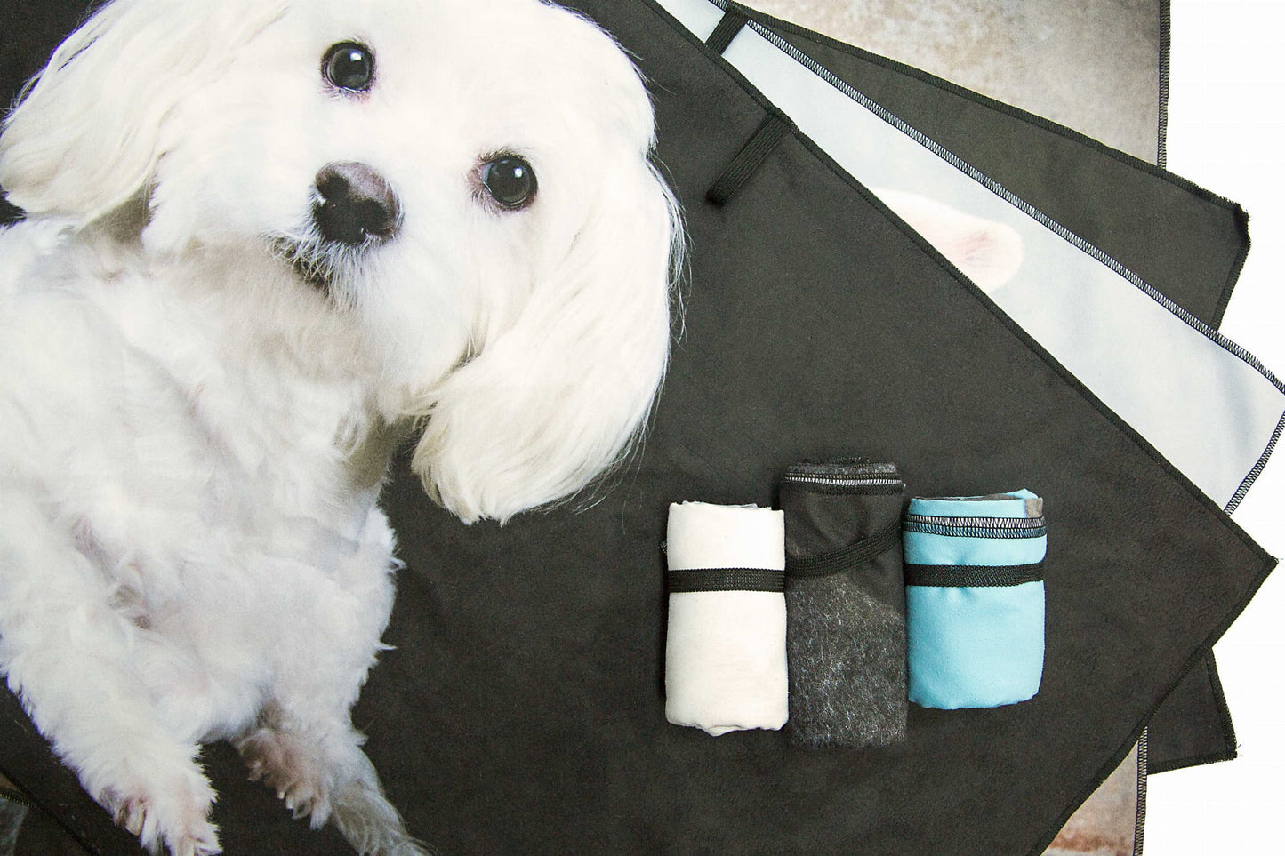 Francia Bulldog kutyás mikroszálas törölköző 50x70