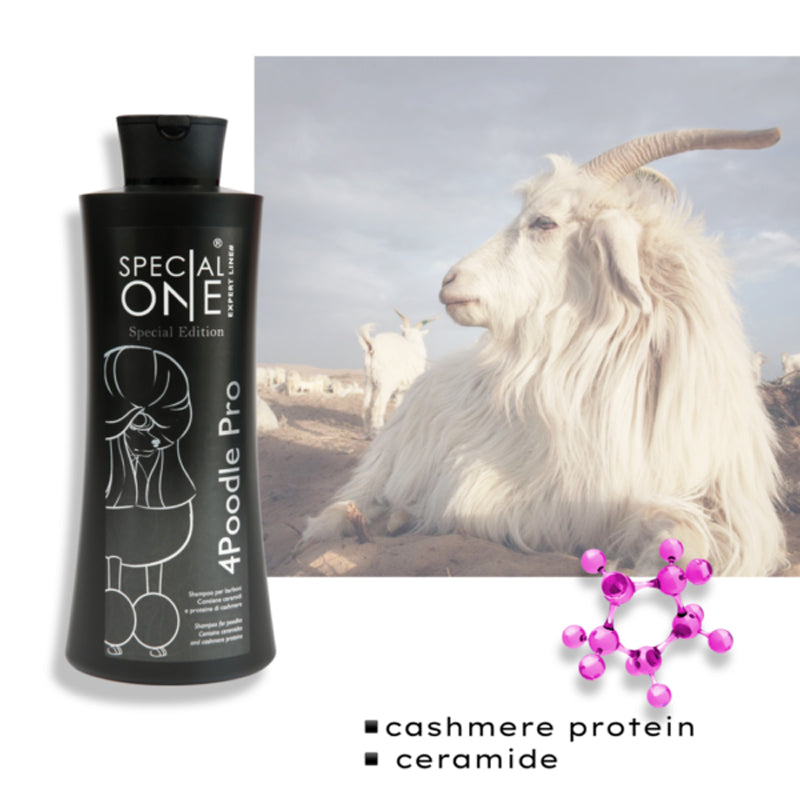 Special One 4 Poodle Pro