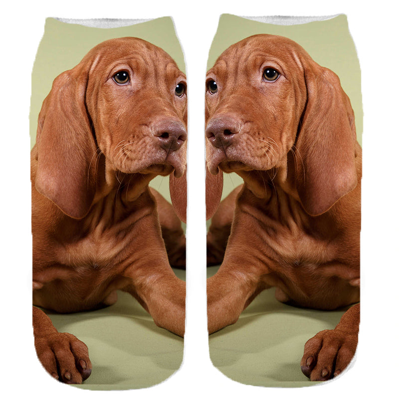 Vizsla kutyás zokni - választható mintával