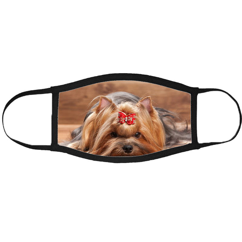 Yorkie mintás szájmaszk fekete peremmel