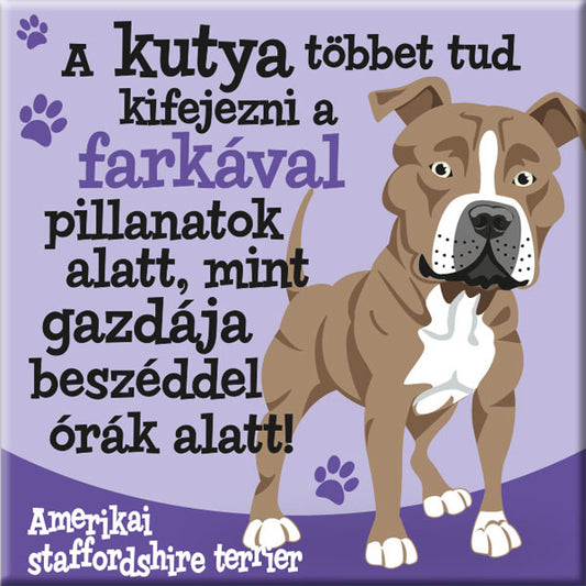 Amerikai staffordshire terrier hűtőmágnes