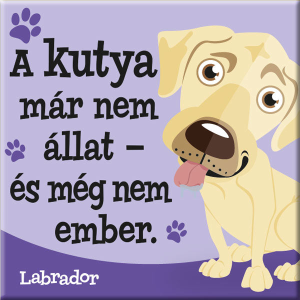 Labrador hűtőmágnes - w&w