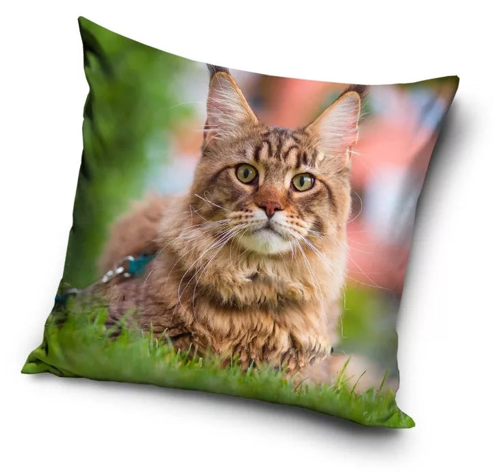 Maine Coon macskás párna