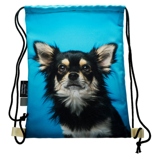 Chihuahua kutyás tornazsák