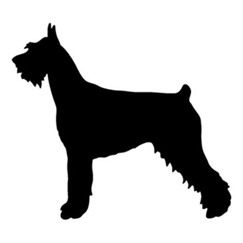 Schnauzer kutyás matrica