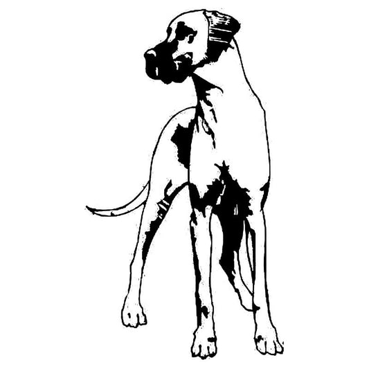 Dán dog kutyás matrica