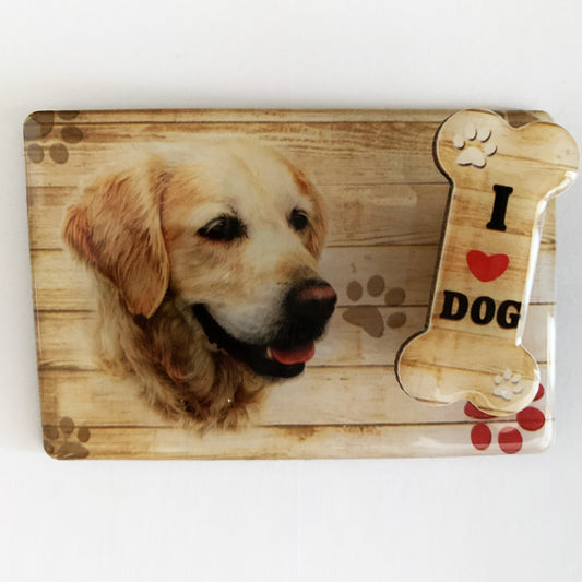 Golden retriever kutyás hűtőmágnes