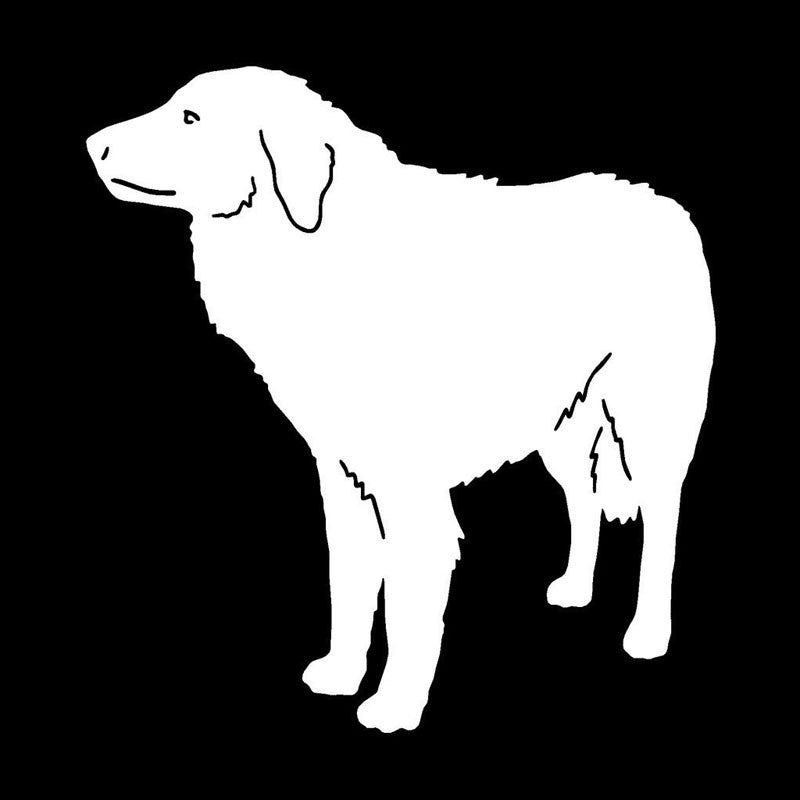 Kuvasz kutyás matrica