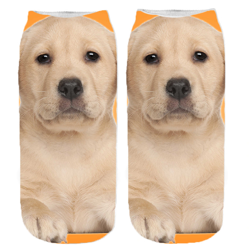 Golden retriever kutyás zokni - választható mintával