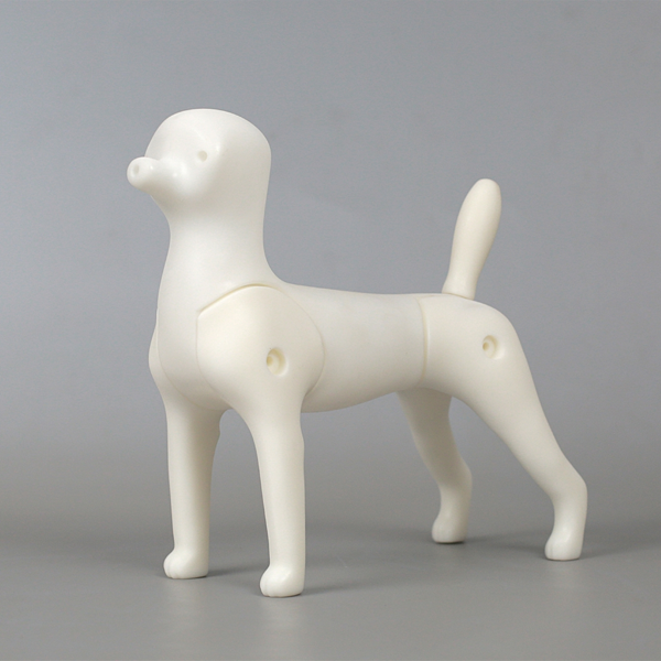 Mr. Jiang small dog kutyates