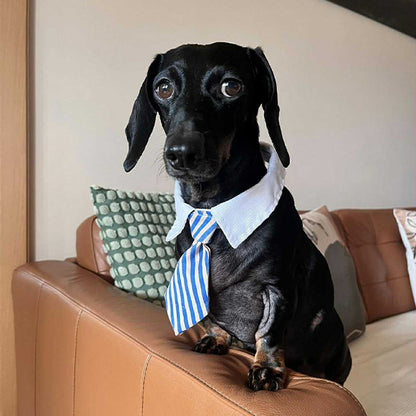 Pajtus kulcstartó - Beeeng