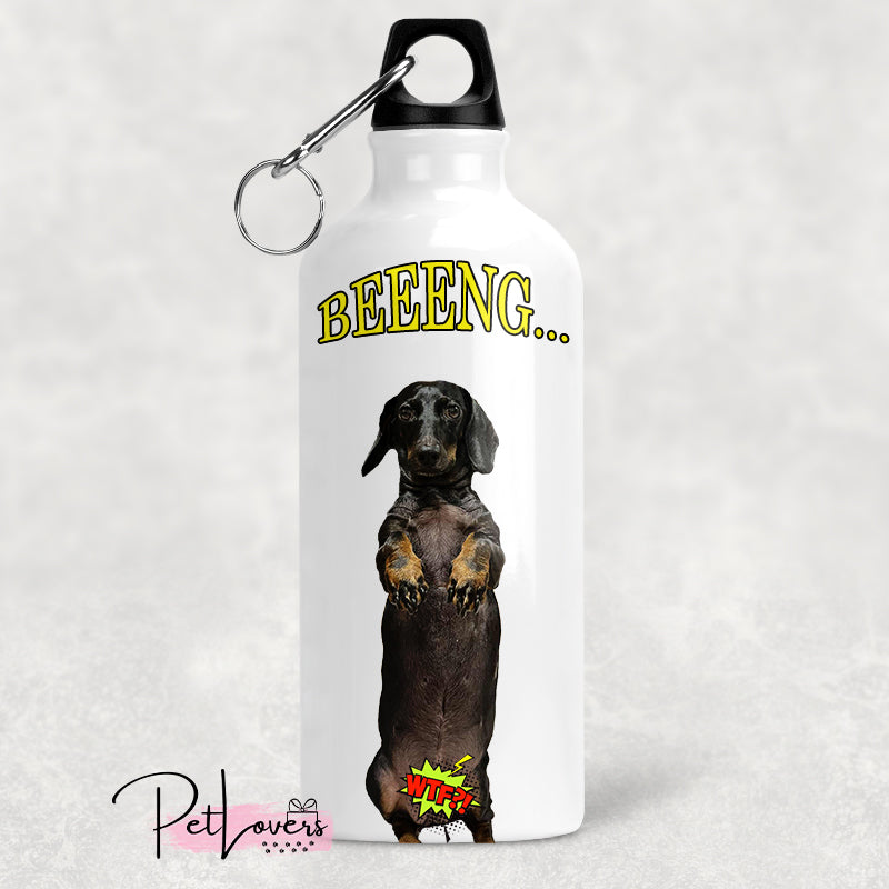 Pajtus mintás fémkulacs