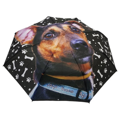 Pinscher kutyás esernyő