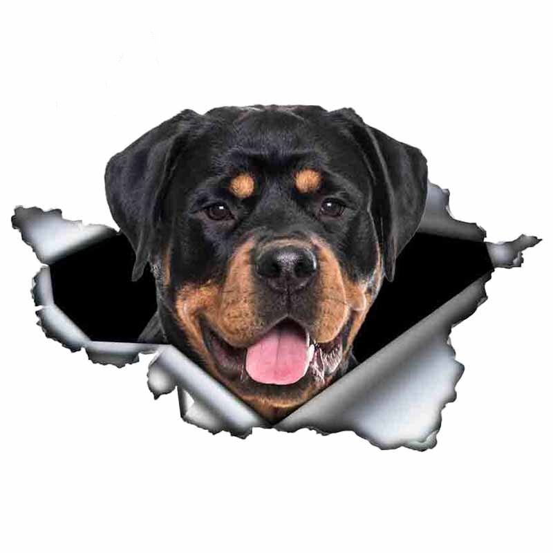 Rottweiler 3D matrica