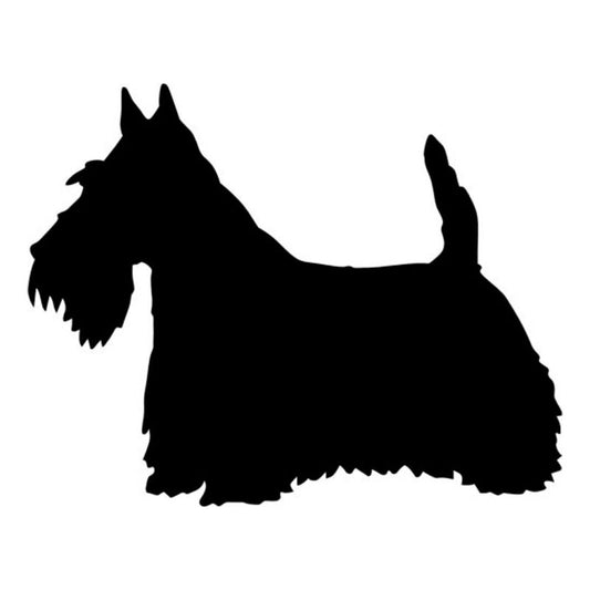 Skót terrier kutyás matrica