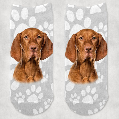 Vizsla kutyás zokni - választható mintával